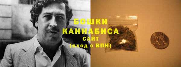 прущие грибы Туринск