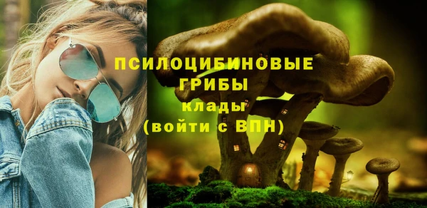 гашишное масло Карпинск
