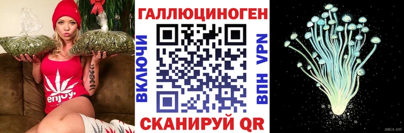 Псилоцибиновые грибы Magic Shrooms  мега онион  Жирновск 